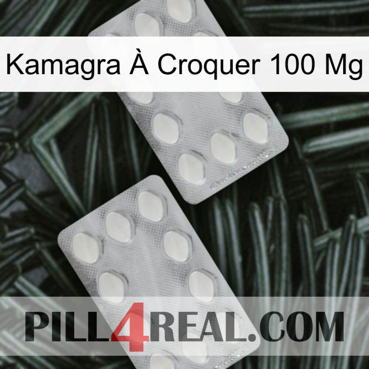 Kamagra À Croquer 100 Mg 17
